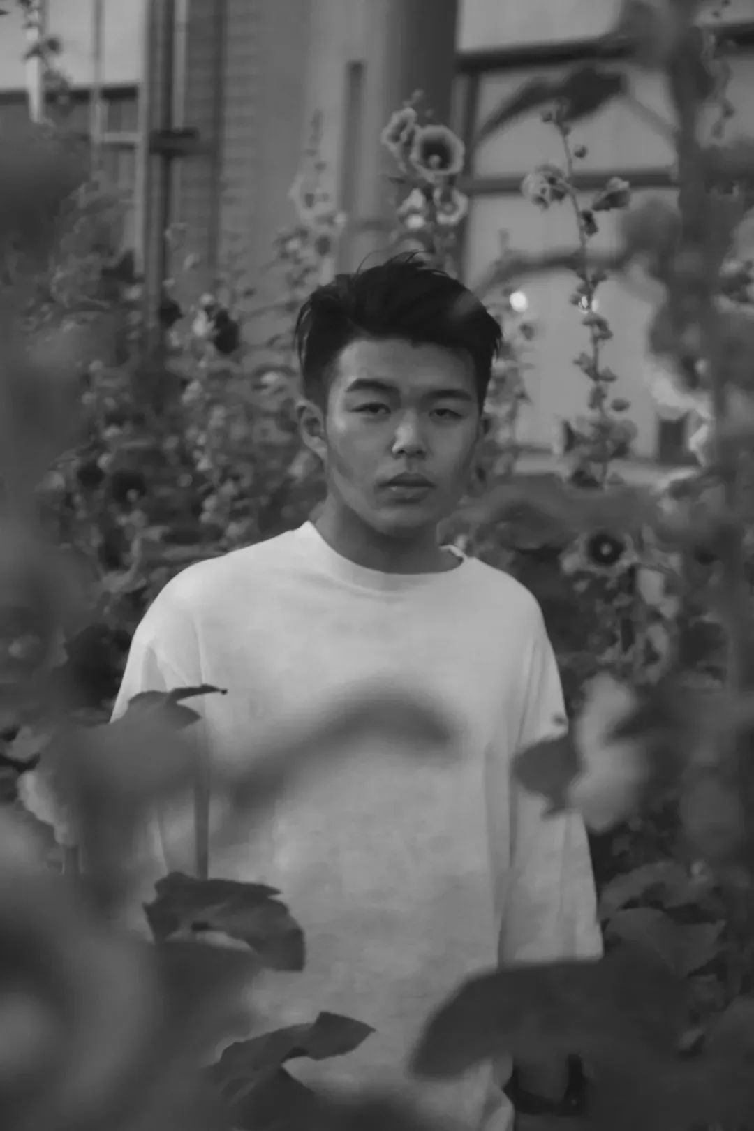 1660232141299766.jpg g007.jpg